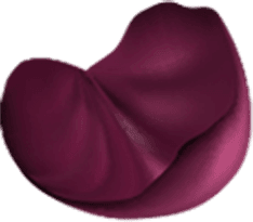 SloveM